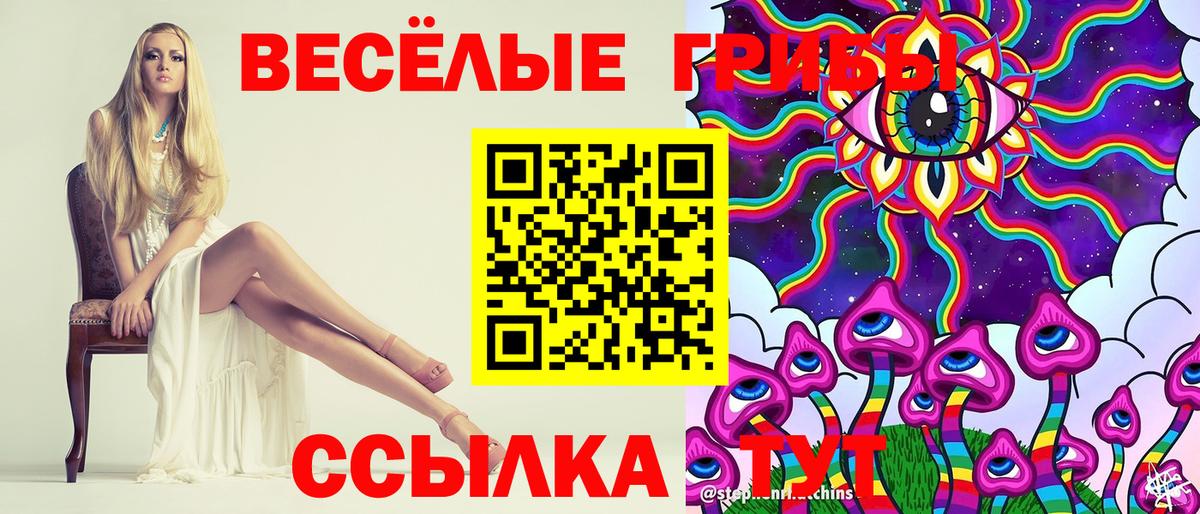 Псилоцибиновые грибы Psilocybine cubensis  Вход с VPN  Ржев 