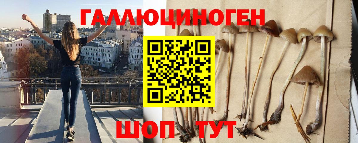 Псилоцибиновые грибы мицелий Ржев